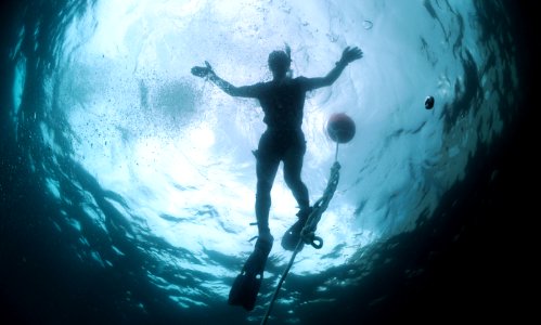 US Navy 110607-N-XD935-191 Navy Diver 2nd Class Ryan Arnold, assigned to Mobile Diving and Salvage Unit 2, snorkels on the surface to monitor multi