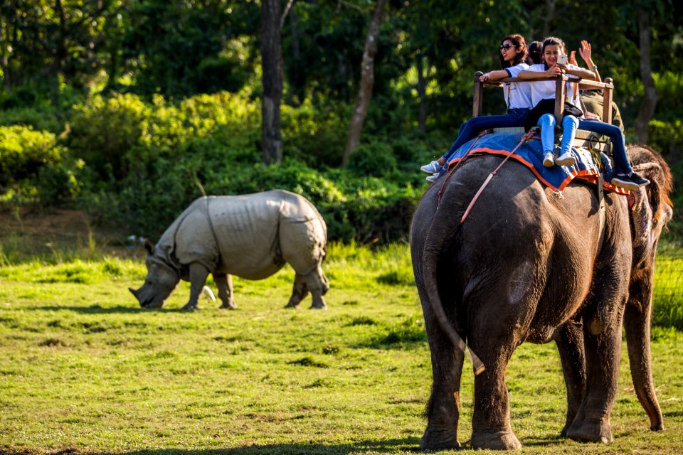 USAID Measuring Impact Conservation Enterprise Retrospective (Nepal; National Trust for Nature Conservation) (26428623908)