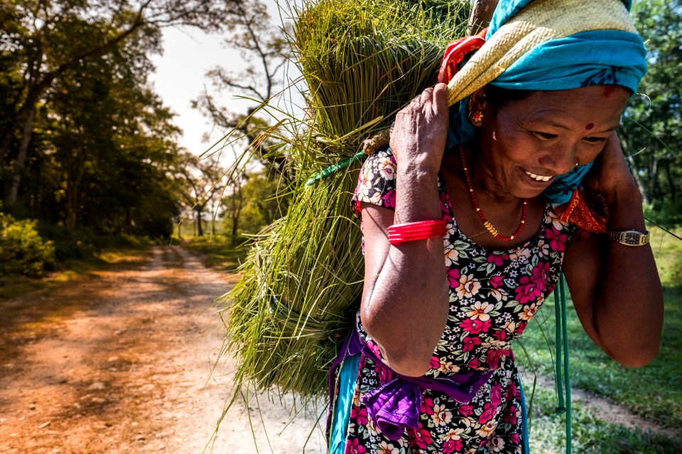 USAID Measuring Impact Conservation Enterprise Retrospective (Nepal; National Trust for Nature Conservation) (25430089937)