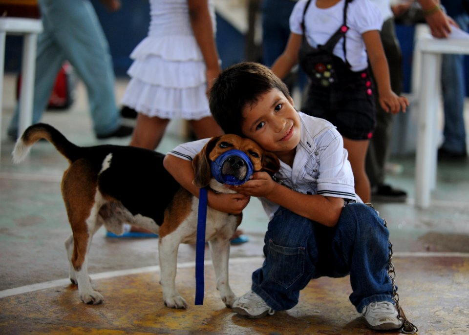US Navy 110605-N-NY820-608 A boy hugs his dogs after a medical screening by veterinarians during a Continuing Promise 2011 community service projec
