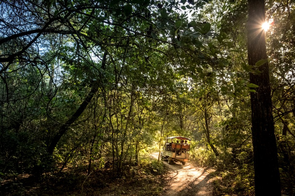 USAID Measuring Impact Conservation Enterprise Retrospective (Nepal; National Trust for Nature Conservation) (25430038127)