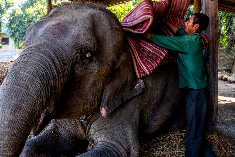 USAID Measuring Impact Conservation Enterprise Retrospective (Nepal; National Trust for Nature Conservation) (25429631997)