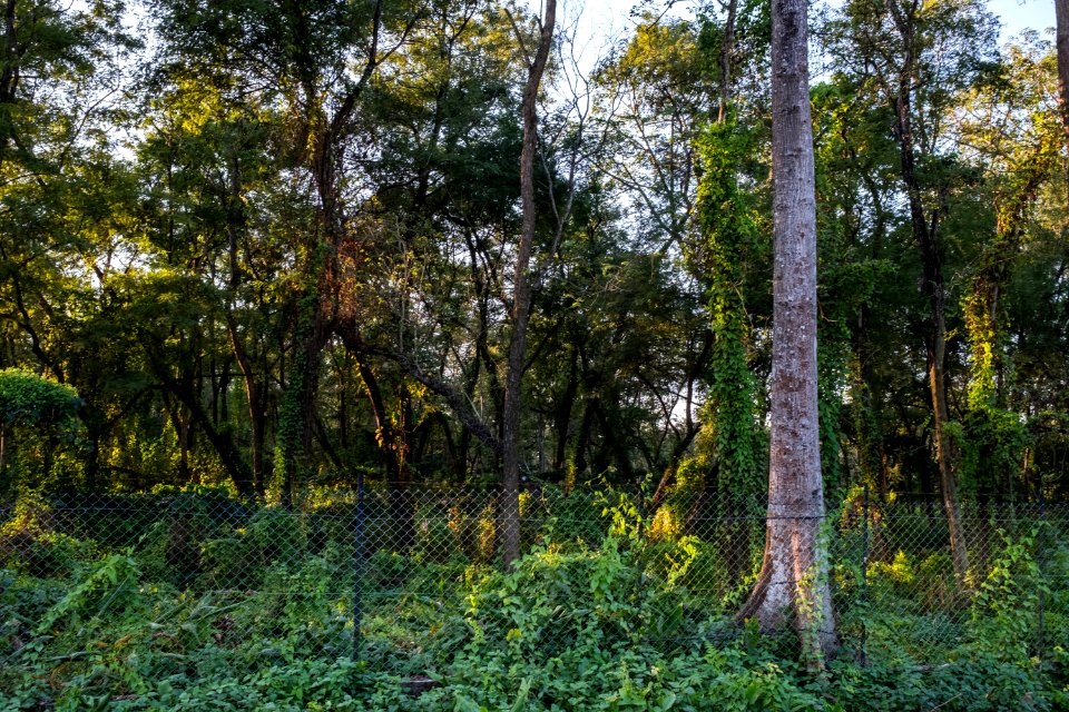 USAID Measuring Impact Conservation Enterprise Retrospective (Nepal; National Trust for Nature Conservation) (25430496827)