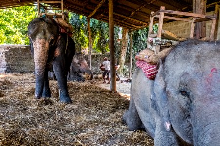 USAID Measuring Impact Conservation Enterprise Retrospective (Nepal; National Trust for Nature Conservation) (25429649557)