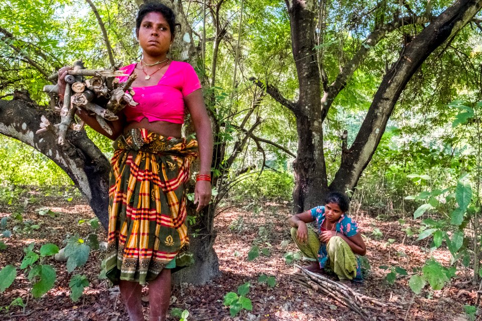 USAID Measuring Impact Conservation Enterprise Retrospective (Nepal; National Trust for Nature Conservation) (25429608607)