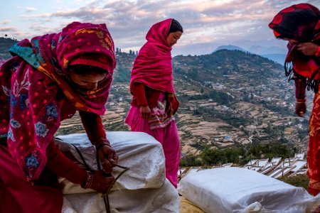 USAID Measuring Impact Conservation Enterprise Retrospective (Nepal; Asian Network for Sustainable Agriculture and Bioresrouces) (40294330351)