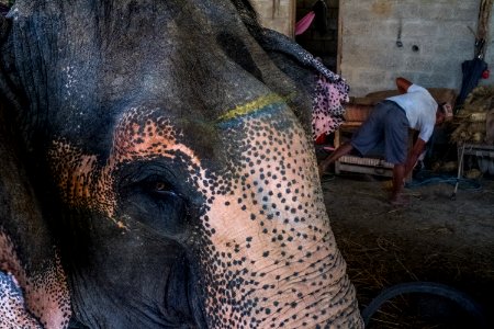 USAID Measuring Impact Conservation Enterprise Retrospective (Nepal; National Trust for Nature Conservation) (25429617057)
