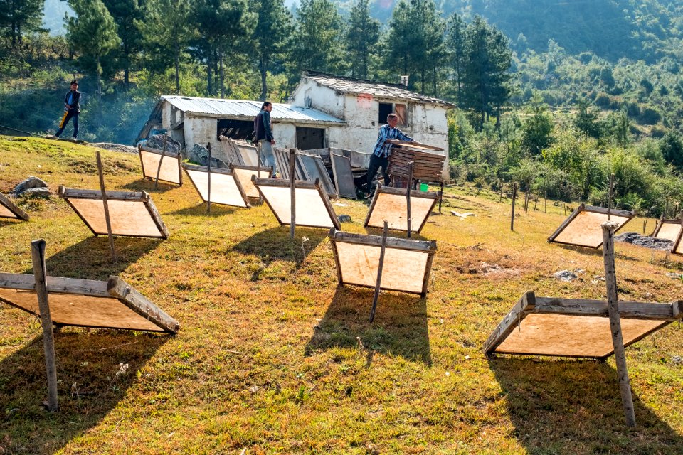 USAID Measuring Impact Conservation Enterprise Retrospective (Nepal; Asian Network for Sustainable Agriculture and Bioresrouces) (40249060602)