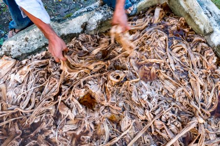 USAID Measuring Impact Conservation Enterprise Retrospective (Nepal; Asian Network for Sustainable Agriculture and Bioresrouces) (40294345131)