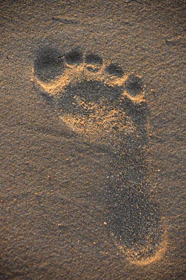 Traces sand pilot beach resort
