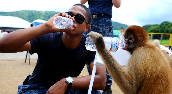 US Navy 110619-F-CF975-244 A spider monkey drinks water with Hospitalman Dahl Valmond, from Mahaut, Dominica, at the Centro Civico medical site