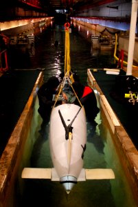 US Navy 110621-N-OA833-003 Midshipman 2nd Class Chenghan Tay, left, and 2nd Lt. Calum Ramm make final preparations before a test of their human-pow