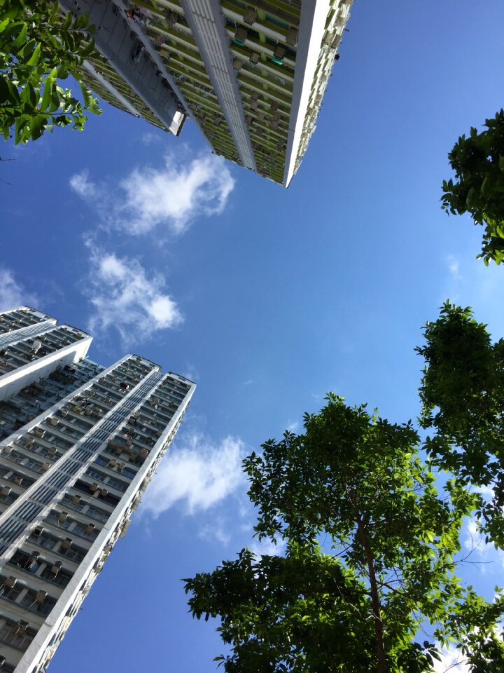 Hong kong tall buildings Free photos