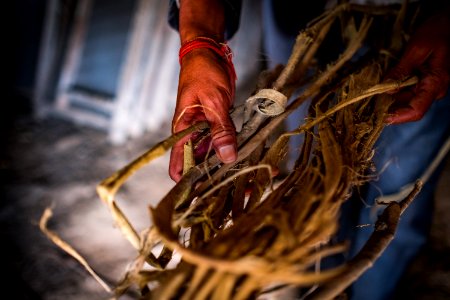 USAID Measuring Impact Conservation Enterprise Retrospective (Nepal; Asian Network for Sustainable Agriculture and Bioresrouces) (39582658954)