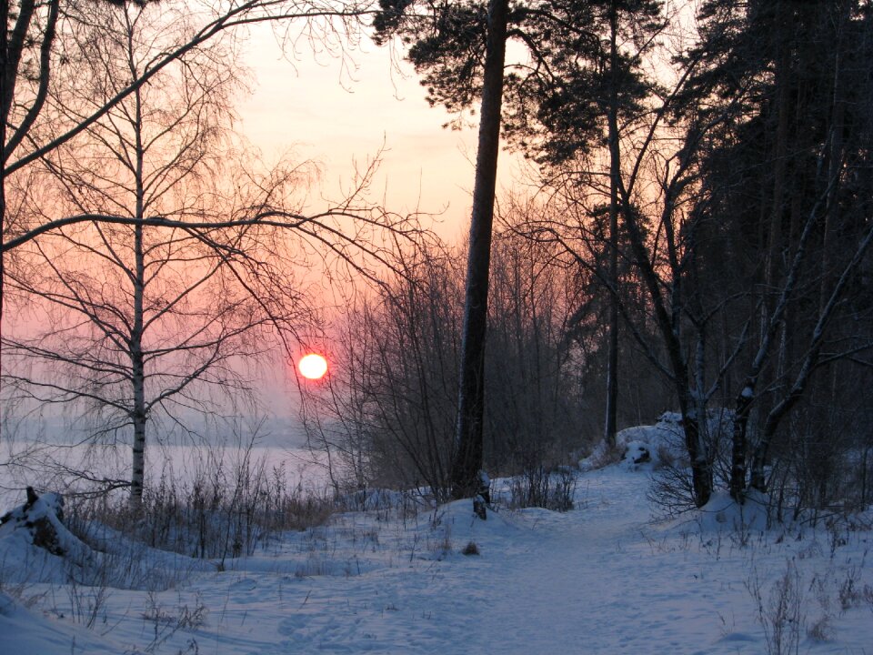Russia landscape snow