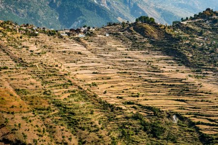 USAID Measuring Impact Conservation Enterprise Retrospective (Nepal; Asian Network for Sustainable Agriculture and Bioresrouces) (39582548374)