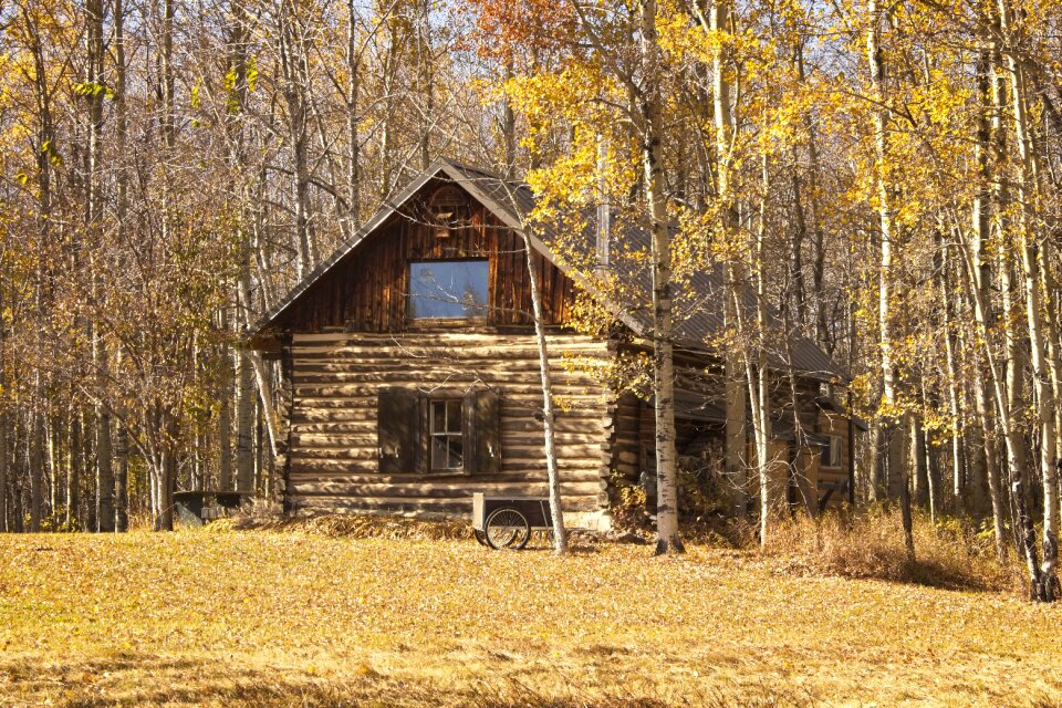 Cottage fall season