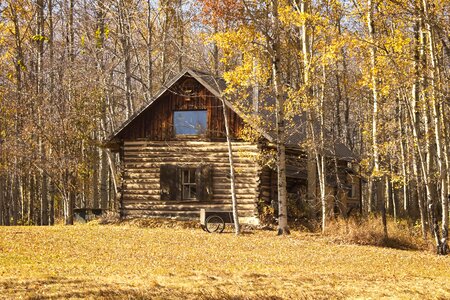 Cottage fall season