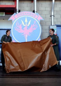 US Navy 110709-N-PM781-030 Capt. Shoshanna Chatfield and Cmdr. Jay Gagne unveil the squadron's new insignia