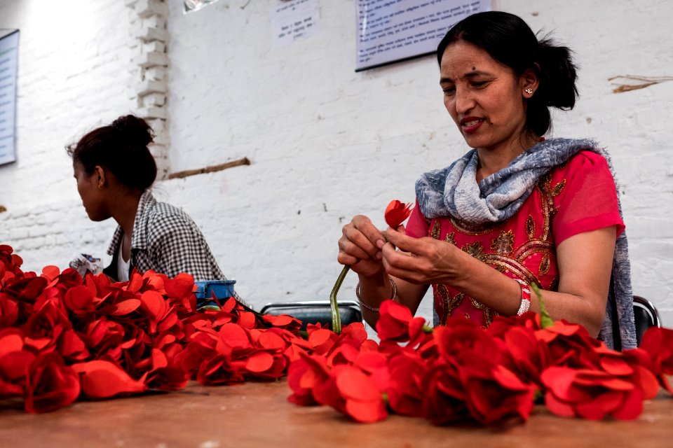 USAID Measuring Impact Conservation Enterprise Retrospective (Nepal; Asian Network for Sustainable Agriculture and Bioresrouces) (39396592235)