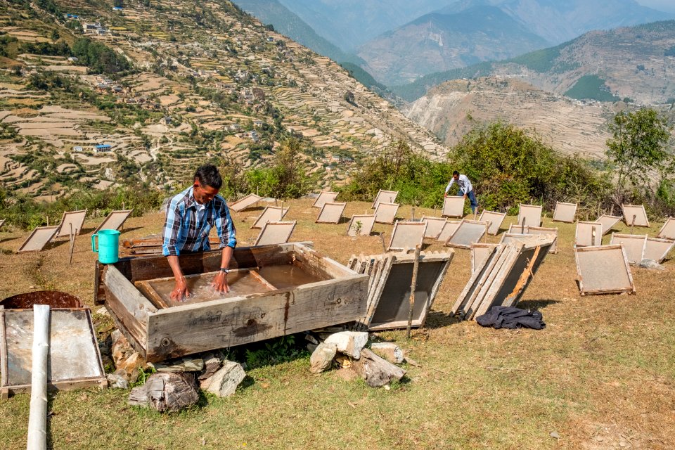 USAID Measuring Impact Conservation Enterprise Retrospective (Nepal; Asian Network for Sustainable Agriculture and Bioresrouces) (39396715625)