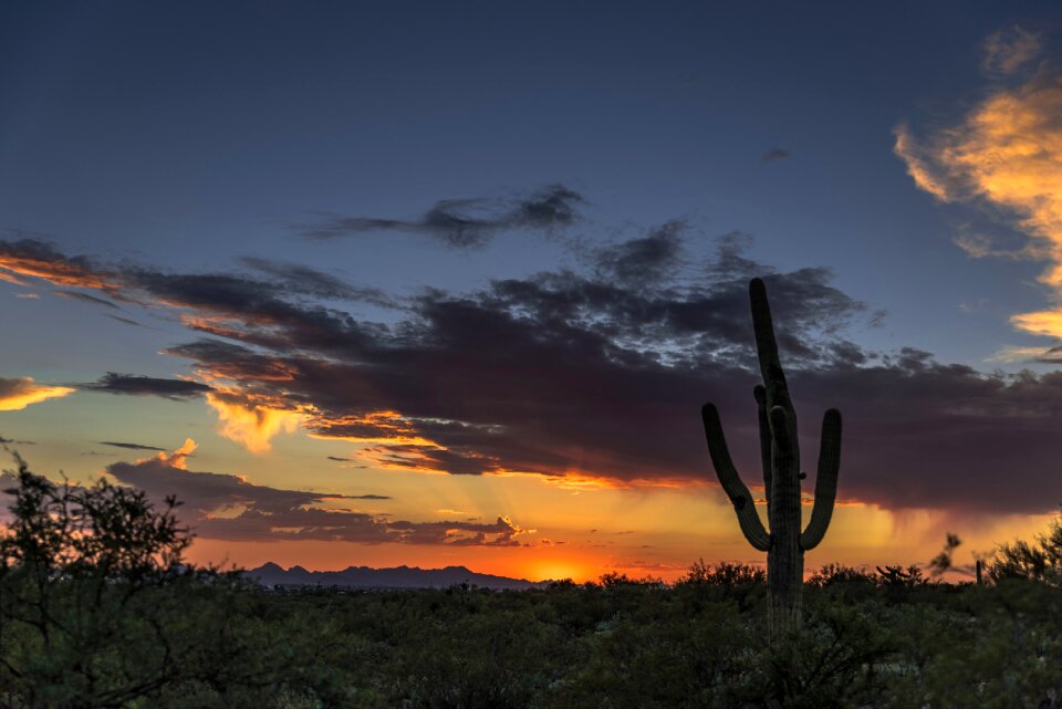 Sunrise cable arizona