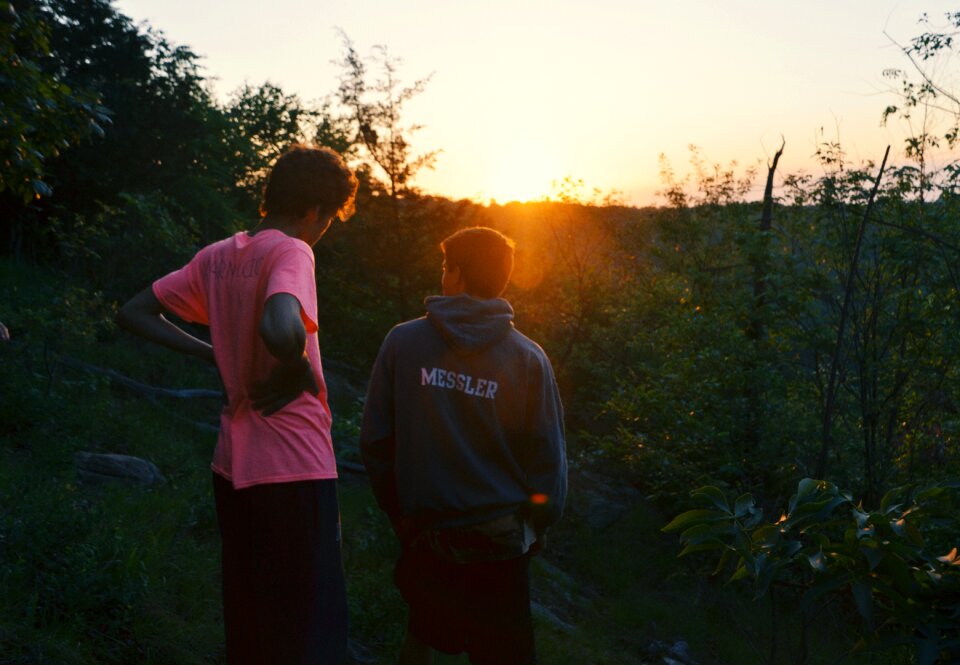 Green sunlight sunshine