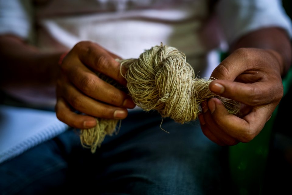 USAID Measuring Impact Conservation Enterprise Retrospective (Nepal; Asian Network for Sustainable Agriculture and Bioresrouces) (38484181330)