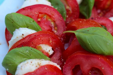 Tomato mozzarella basil mozarella