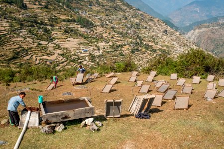 USAID Measuring Impact Conservation Enterprise Retrospective (Nepal; Asian Network for Sustainable Agriculture and Bioresrouces) (26421751158)