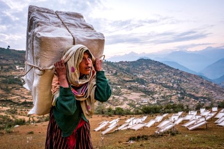 USAID Measuring Impact Conservation Enterprise Retrospective (Nepal; Asian Network for Sustainable Agriculture and Bioresrouces) (25423054837)