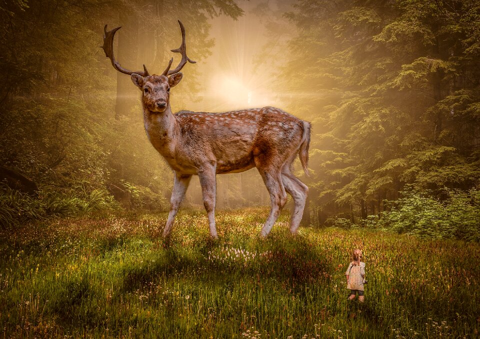 Wildlife stag grass