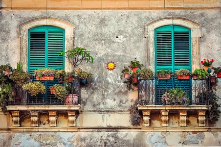Color fiesta venice