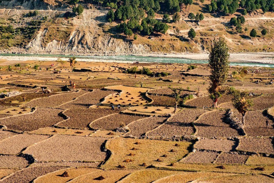 USAID Measuring Impact Conservation Enterprise Retrospective (Nepal; Asian Network for Sustainable Agriculture and Bioresrouces) (26421664528)