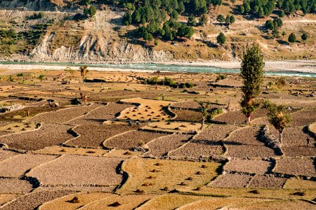 USAID Measuring Impact Conservation Enterprise Retrospective (Nepal; Asian Network for Sustainable Agriculture and Bioresrouces) (26421664528)