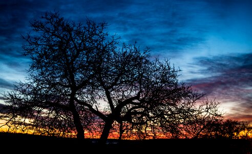 Winter sunrise hegau backlighting photo