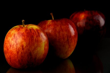 Fit health diet