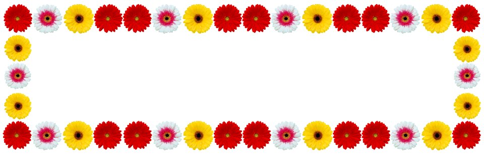 Desktop disjunct summer