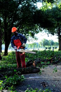 US Navy 110828-N-XO436-089 Boatswain's Mate 2nd Class Bolude Komolafe saws tree branches during clean-up efforts at Naval Station Norfolk in the af