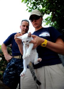 US Navy 110827-N-NY820-352 Dr. Helle Hydeskov examines a cat while Lt. Matt Swain observes at a temporary veterinary clinic in Port-au-Prince, Hait
