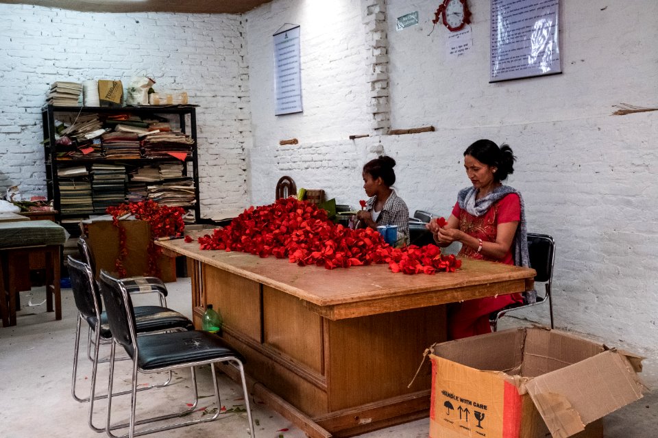USAID Measuring Impact Conservation Enterprise Retrospective (Nepal; Asian Network for Sustainable Agriculture and Bioresrouces) (25422815687)