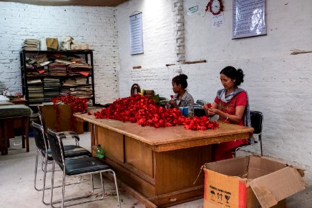 USAID Measuring Impact Conservation Enterprise Retrospective (Nepal; Asian Network for Sustainable Agriculture and Bioresrouces) (25422815687)