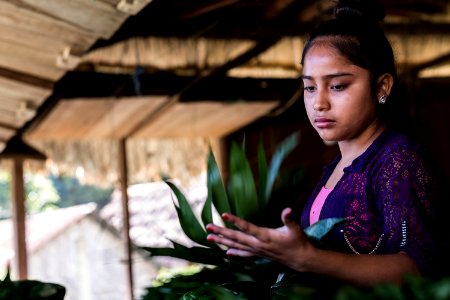 USAID Measuring Impact Conservation Enterprise Retrospective (Guatemala; Rainforest Alliance) (40304773581)
