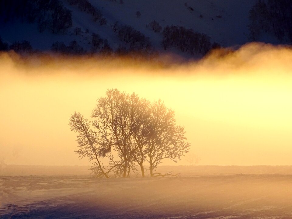 Frost winter spring