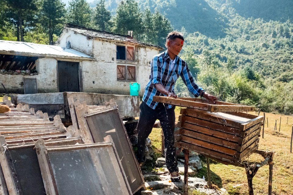 USAID Measuring Impact Conservation Enterprise Retrospective (Nepal; Asian Network for Sustainable Agriculture and Bioresrouces) (25422897357)