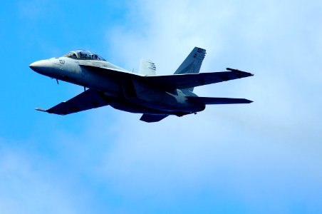 US Navy 110904-N-UO379-365 An F-A-18F Super Hornet makes a high speed pass over USS Ronald Reagan (CVN 76) during a tiger cruise