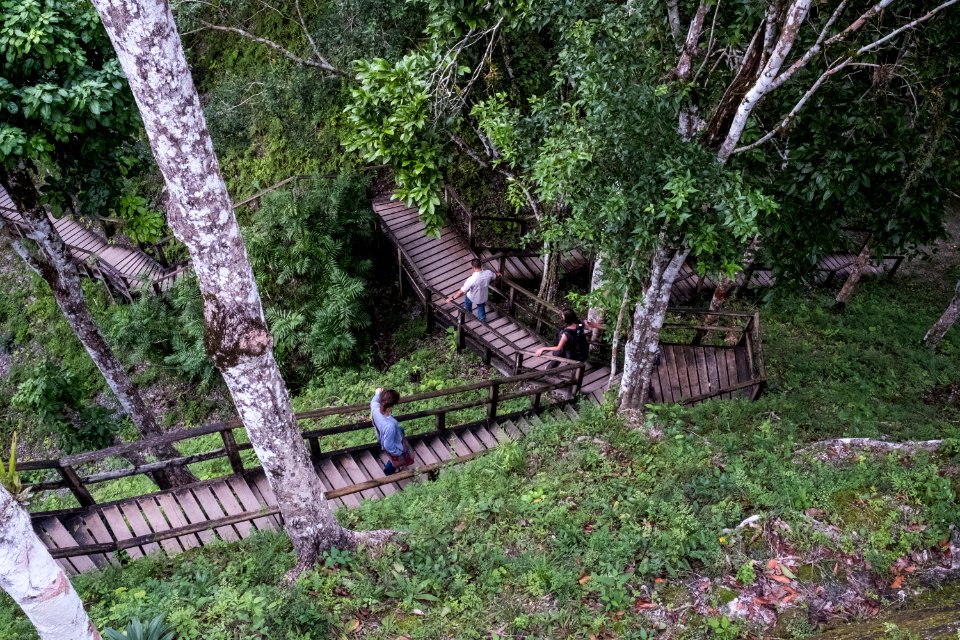 USAID Measuring Impact Conservation Enterprise Retrospective (Guatemala; Rainforest Alliance) (40304583921)