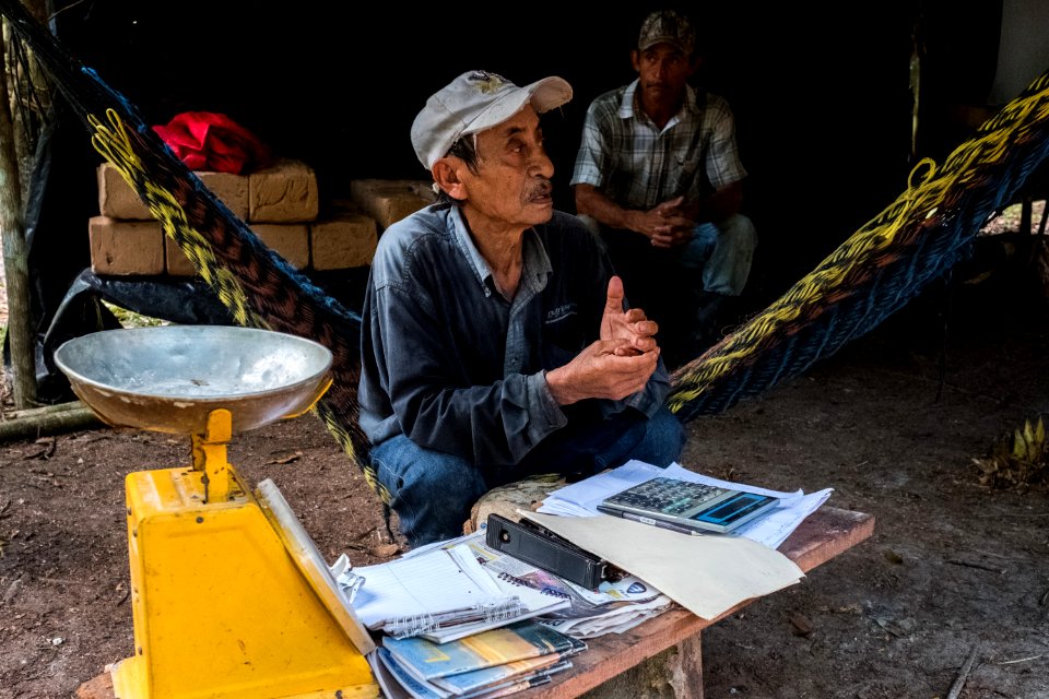 USAID Measuring Impact Conservation Enterprise Retrospective (Guatemala; Rainforest Alliance) (40304393841)