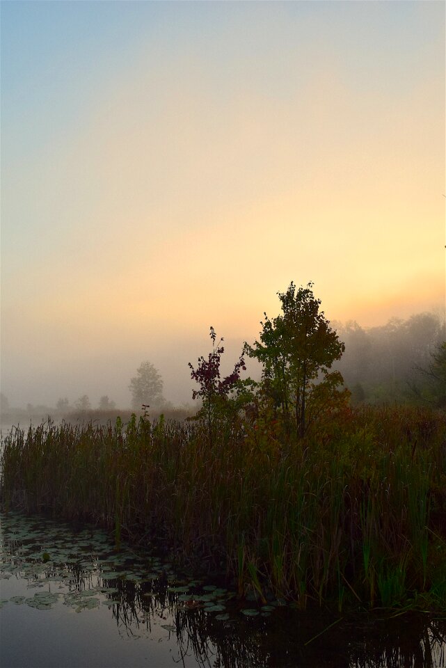 Sunrise water nature photo