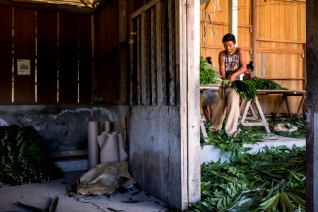 USAID Measuring Impact Conservation Enterprise Retrospective (Guatemala; Rainforest Alliance) (40304771821)
